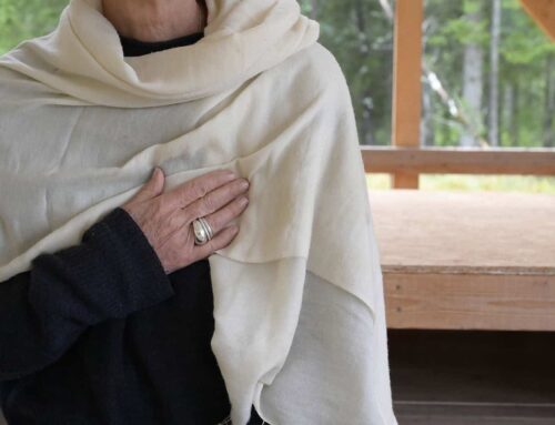Kurs | Möt skam och självkritik med självmedkänsla