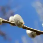 Nyhetsbrev mars 2026