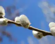 Nyhetsbrev mars 2026