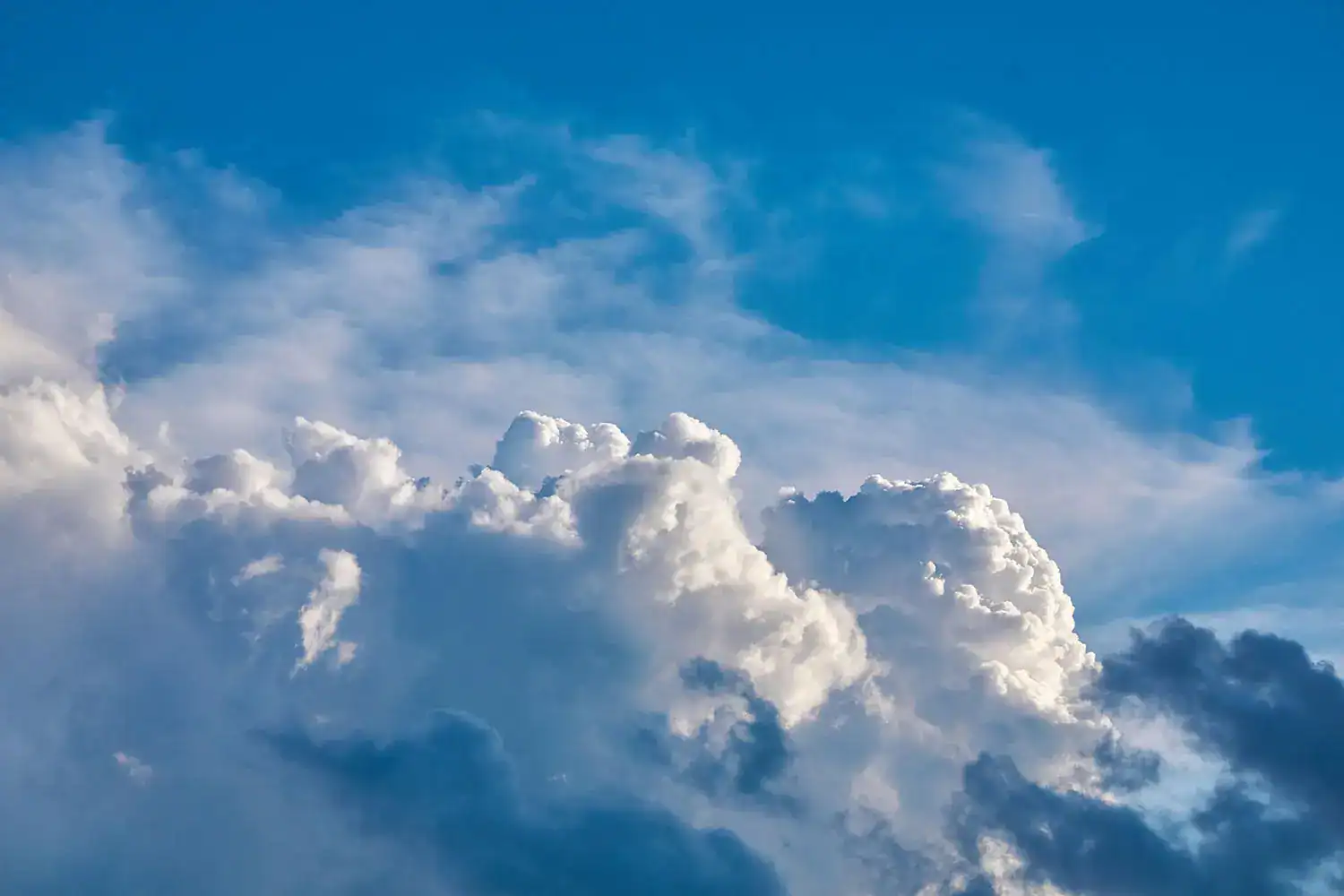 Nyhetsbrev mars 2026 LevNU